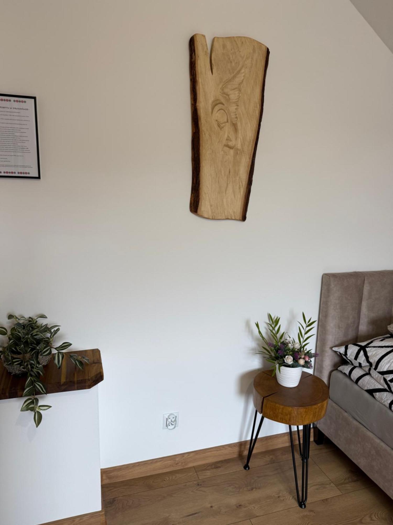 Apartament Z Tarasem I Pokoje Klimatyzowane -Drozdowka Solina Solina  Exterior foto